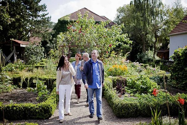 Zwei Männer und zwei Frauen spazieren durch einen Garten