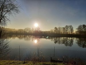Waldsee mit Wintersonne