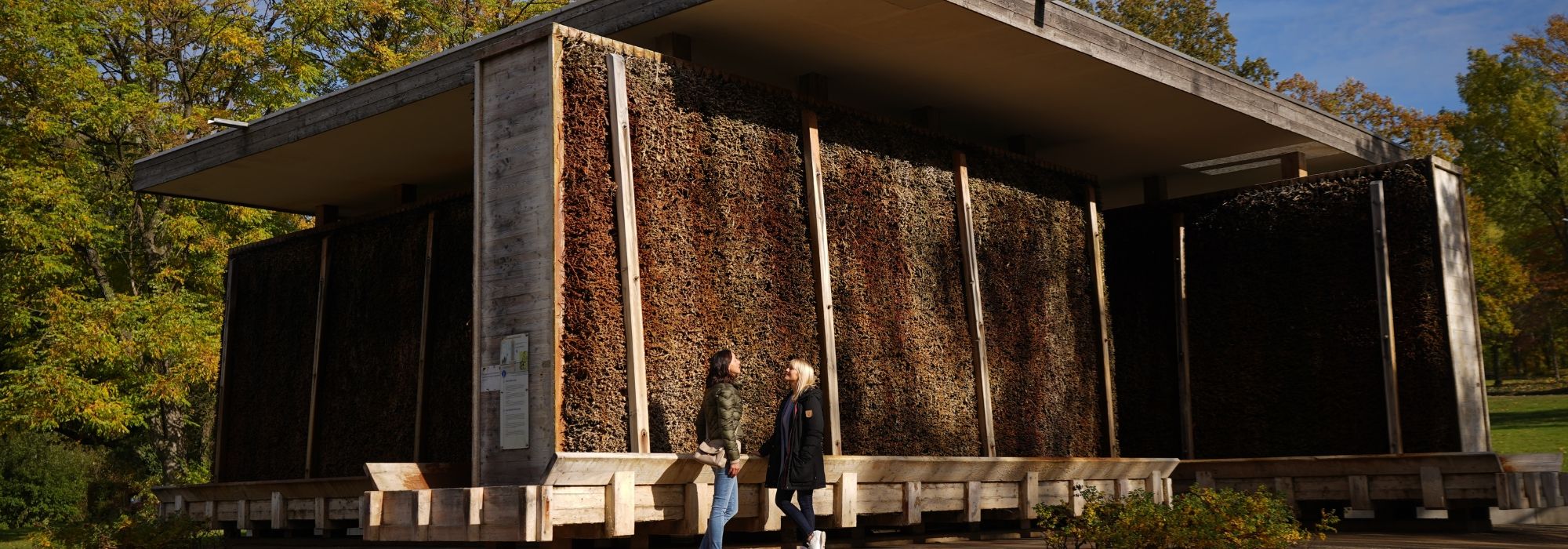 Im Kur-Park ist Salz-Luft.
2 Menschen atmen die Salz-Luft ein.
Dort steht ein kleines Haus.
Das Haus heißt Pavillon.
Im Pavillon ist Salz.
Das Salz ist in der Luft.