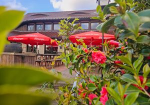 Flötzinger Alm Biergarten