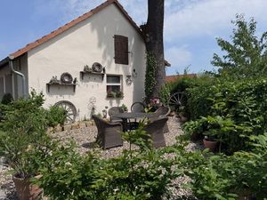 Blick auf die Terasse im Garten