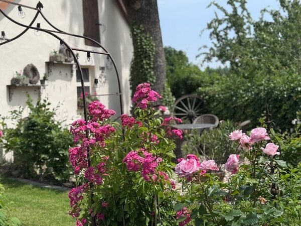 Ferienwohnung Hof Sandfort Ferienwohnung Hof Sandfort