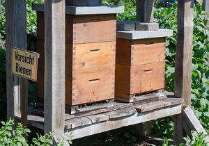 Bienenkästen unter einem Holzunterstand im Grünen